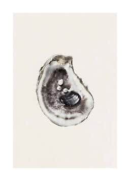Open oyster shell with a dark pearl and three small pearls on a light background