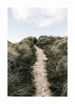 Narrow sandy path through grassy dunes under a bright cloudy sky