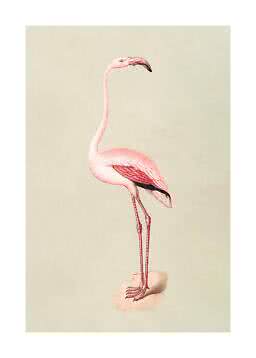 Illustration of a pink flamingo standing on a rock against a light beige background