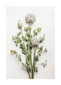 Mazzo di fiori di campo con allium e capsule di semi su sfondo chiaro