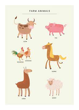 Poster with cute illustrations of farm animals: cow, pig, rooster, chicken, horse, llama and sheep.
