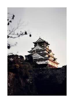 Château japonais sur un mur de pierre au chaud soleil du soir, vu d’en bas avec des branches au premier plan