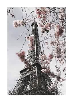 Eiffelturm von unten durch rosa Kirschblüten vor hellem Himmel gesehen