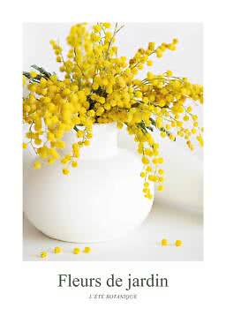 Boeket gele mimosa in een ronde witte vaas op een lichte achtergrond