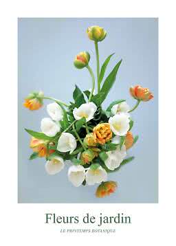 Bouquet di tulipani bianchi e arancioni su sfondo azzurro chiaro con testo Fleurs de jardin