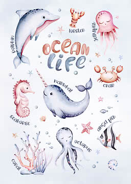 Watercolor poster of sea animals with "Ocean Life" text, including dolphin, narwhal, octopus and jellyfish.