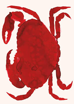 Red watercolor illustration of a crab on a light background