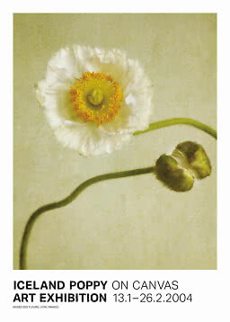 Poster of a white Iceland poppy with bud on a pale background, exhibition text at the bottom