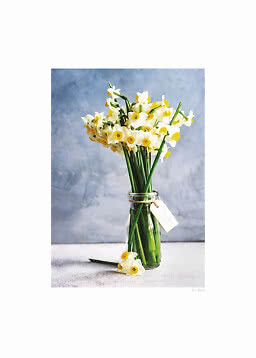 Bouquet de jonquilles blanches et jaunes dans une bouteille en verre sur fond bleu