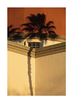 Ombra di palma su edificio chiaro con piccola finestra e parete arancione sullo sfondo
