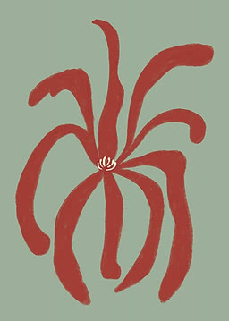 A single flower with eight curling petals in deep rust radiating from a small cream centre, on a soft sage ground