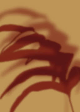 The blurred shadow of a plant in deep oxblood falling across a warm ochre ground, its leaves only half resolved