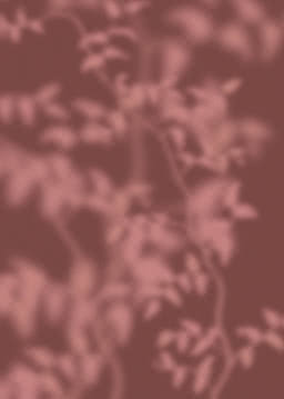 Leafy branches in pale pink drawn in soft focus across a deep oxblood ground