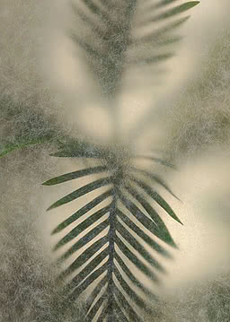 A green palm frond pressed against frosted glass, softened into cream and pale grey where the leaf pulls away