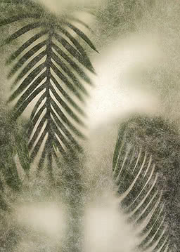Two palm fronds overlapping behind frosted glass, one sharper and one dissolving into warm cream and brown haze