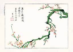 Japanischer Blumendruck mit grünem Ast, rosa Blüten und Kalligrafie auf weißem Grund