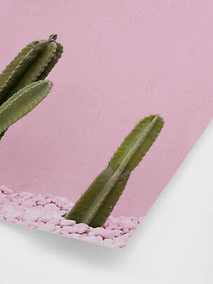 Cactus verts devant un mur rose avec des pierres roses