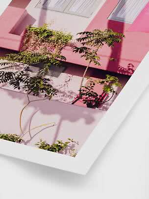 Pink building with windows, green branches and shadows in sunlight