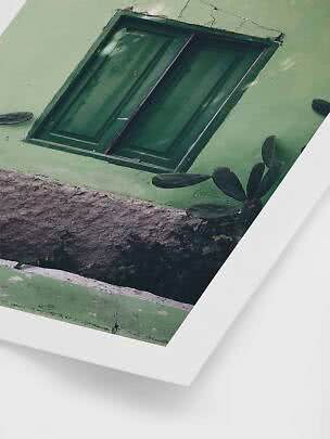 Finestra verde in un muro consumato con cactus in primo piano