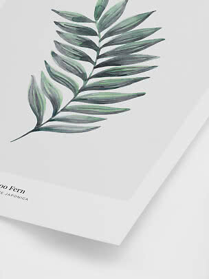 Botanical print with painted green fern branch on white background