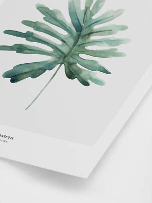 Botanisk plakat med grøn akvarel af et stort fliget blad på hvid baggrund