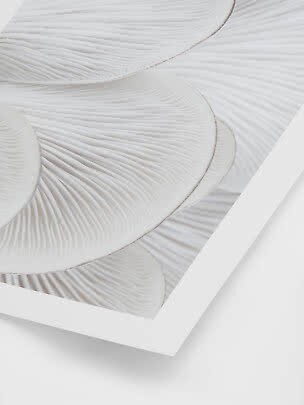 Primo piano di quadro da parete bianco con forme ondulate e organiche in rilievo