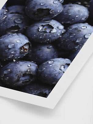 Close-up of dark blue blueberries with water droplets on a printed image with white border