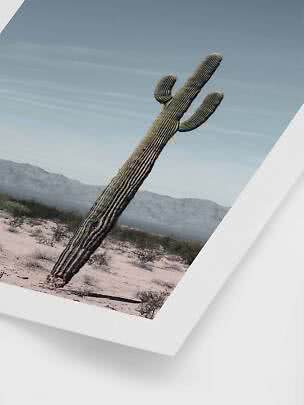 Foto incorniciata di un alto cactus saguaro nel deserto con montagne e cielo azzurro