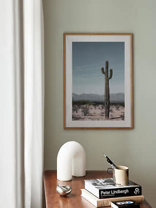 Stampa incorniciata con cactus nel deserto sopra una cassettiera in legno con libri