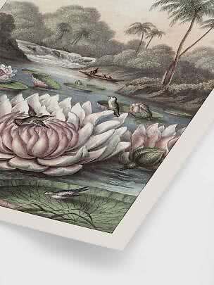 Illustration of a tropical river with water lilies, birds, waterfall, and a small boat