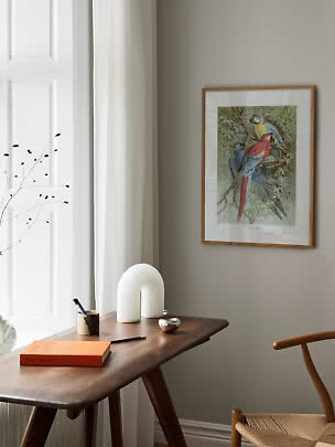 Affiche encadrée de aras au-dessus d’un bureau en bois avec lampe, livre et chaise