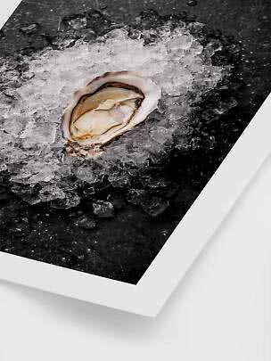 Open oyster on crushed ice against a dark background