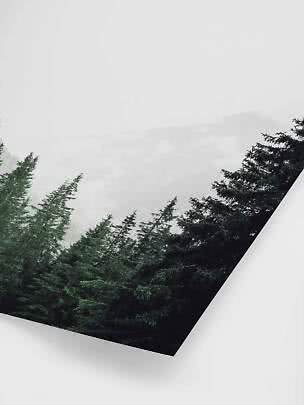 Wall art with misty mountain landscape and dark green pine trees