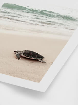 Zeeschildpad op zandstrand bij de golven, afgebeeld als ingelijste print