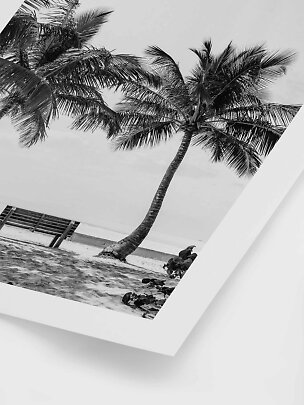 Black-and-white beach photo with leaning palm trees in a white frame.