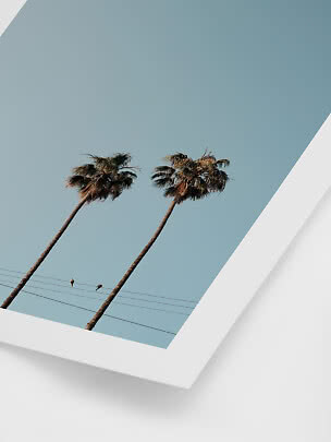 Framed photo print with two palm trees and birds on wires against a blue sky