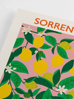 Affiche avec citrons, feuilles vertes et fleurs blanches sur fond rose, avec texte orange en haut