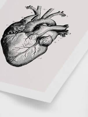 Black and white anatomical illustration of a human heart on a white poster