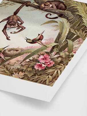 Illustratie met apen, kolibrie en nest tussen takken, bladeren en roze bloemen