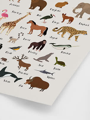 Illustrated animal poster with labeled animals including giraffe, horse, jaguar, elephant, narwhal and yak.