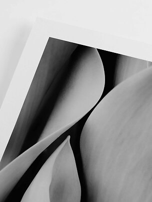 Stampa d’arte astratta in bianco e nero con morbide forme curve