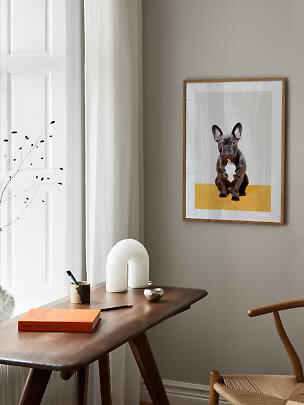 Indrammet plakat med sort fransk bulldog på gul baggrund over et træskrivebord