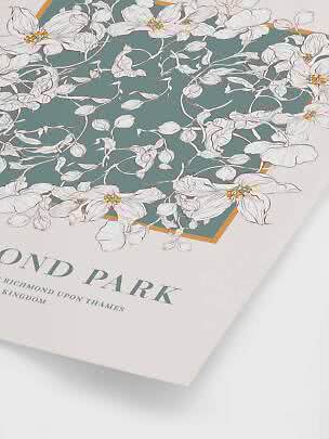 Poster with white floral illustration on green background and Richmond Park text
