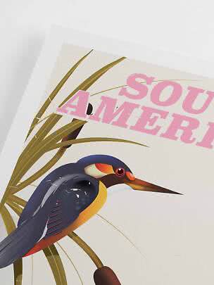Poster vintage con uccello colorato tra le canne e scritta rosa