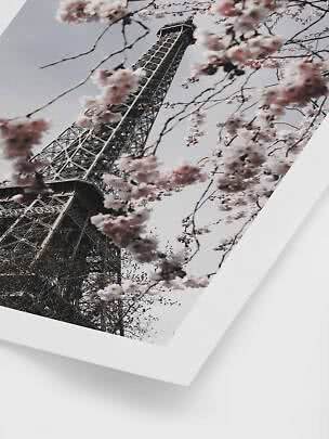 Gerahmtes Foto des Eiffelturms von unten, umgeben von rosa blühenden Zweigen