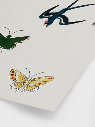 Illustrazione di una rondine blu e farfalle verdi e gialle su sfondo bianco