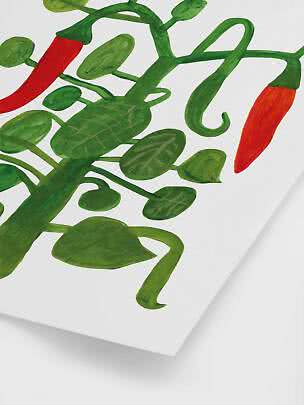 Ilustracja czerwonych papryczek chili i zielonych liści na białym tle