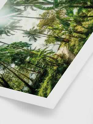 Foto incorniciata di un sentiero su spiaggia tropicale con palme, verde lussureggiante e sole