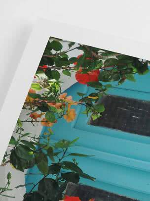 Flowering green branches in front of a turquoise window on a white wall
