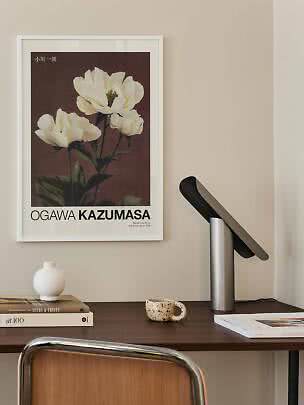 Indrammet blomsterplakat med hvide pæoner over et skrivebord med lampe, bøger og kop